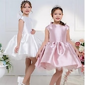 preiswerte Kleider für die Blumenmädchen-kinderkleidung Mädchen Blumenmädchen Kleid Kleid für die Erstkommunion Party Kleid Feste Farbe Ärmellos Leistung Hochzeit Party Gitter Prinzessin Süß Gitter Mitte der Wade Etuikleid Tüll-Kleid Sommer