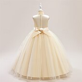 levne Párty šaty-Děti Dívčí Šaty na párty Květinový Bez rukávů Výkon Narozeniny Síťka Kravatový uzel Krásná Sladký Polyester Maxi Šaty na párty Swingové šaty Áčkové šaty Léto 4 roky + Šampaňská Vodní modrá Trávov