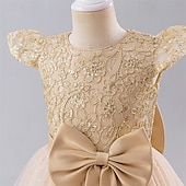 preiswerte Kleider für die Blumenmädchen-kinderkleidung Mädchen Blumenmädchen Kleid Party Kleid Farbblock Ärmellos Leistung Hochzeit Party Krawattenknoten Schön Süß Polyester Maxi abendkleider Schaukelkleid A Linie Kleid Sommer 4 Jahre +