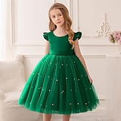 voordelige Bloemenjurken-Bloemenmeisjesjurk kinderen Voor meisjes Prinses jurk Prestatie Bruiloft Feest Elegant Mooi Netstof Effen Kleur Mouwloos Strakke ronde hals Lichtgeel Licht Roze 4 jaar +