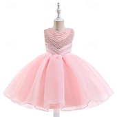 abordables Robes à Fleurs pour Filles-Robe de Demoiselle d&#039;Honneur Fille enfants Fille Robe de princesse Utilisation Mariage Soirée Elégant Magnifique Maille Couleur unie Sans Manches Col Ras du Cou Blanche Champagne 4 ans et +