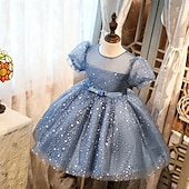levne Párty šaty-Batole Dívčí Šaty na párty Flitry Bez rukávů Výkon Síťka Roztomilý Princeznovské Polyester Nad kolena Plášťové šaty Tylové šaty Léto Jaro Podzim 3-7 let Stříbrná Dusty modrá