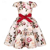 abordables Robes de fête-Enfants Fille Robe de fête Fleur Manche Courte Utilisation Anniversaire Noeud de cravate Magnifique Doux Coton Maxi robe soirée Robe Évasée Robe Trapèze Eté 4 ans et + Jaune Rose Claire Rouge