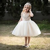 abordables Robes à Fleurs pour Filles-Robe de Demoiselle d&#039;Honneur Fille enfants Fille Robe de princesse Utilisation Mariage Soirée Elégant Magnifique Maille Couleur unie Sans Manches Col Ras du Cou Blanche Champagne 4 ans et +