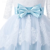 voordelige Bloemenjurken-Bloemenmeisjesjurk kinderen Voor meisjes Prinses jurk Prestatie Bruiloft Feest Elegant Mooi Kant Netstof Effen Kleur Halve mouw V-hals blauw 4 jaar +