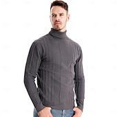 billige Herre Elite Genser og Cardigans-Herre Genser Pullover genser Strikketøy Riflet Strikke Vanlige topper Fargeblokk Rullekrage Strikketøy Nøytral utendørs Klær Vår &amp; Vinter Svart Gul S M L