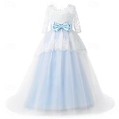 voordelige Bloemenjurken-Bloemenmeisjesjurk kinderen Voor meisjes Prinses jurk Prestatie Bruiloft Feest Elegant Mooi Kant Netstof Effen Kleur Halve mouw V-hals blauw 4 jaar +