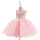 abordables Robes à Fleurs pour Filles-Robe de Demoiselle d&#039;Honneur Fille enfants Fille Robe de princesse Utilisation Mariage Soirée Elégant Magnifique Maille Couleur unie Sans Manches Col Ras du Cou Blanche Champagne 4 ans et +