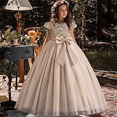 preiswerte Kleider für die Blumenmädchen-kinderkleidung Mädchen Blumenmädchen Kleid Party Kleid Farbblock Ärmellos Leistung Hochzeit Party Krawattenknoten Schön Süß Polyester Maxi abendkleider Schaukelkleid A Linie Kleid Sommer 4 Jahre +
