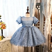 levne Párty šaty-Batole Dívčí Šaty na párty Flitry Bez rukávů Výkon Síťka Roztomilý Princeznovské Polyester Nad kolena Plášťové šaty Tylové šaty Léto Jaro Podzim 3-7 let Stříbrná Dusty modrá