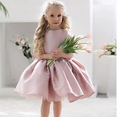 preiswerte Kleider für die Blumenmädchen-kinderkleidung Mädchen Blumenmädchen Kleid Kleid für die Erstkommunion Party Kleid Feste Farbe Ärmellos Leistung Hochzeit Party Gitter Prinzessin Süß Gitter Mitte der Wade Etuikleid Tüll-Kleid Sommer