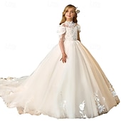 preiswerte Kleider für die Blumenmädchen-kinderkleidung Mädchen Blumenmädchen Kleid Kleid für die Erstkommunion Party Kleid Feste Farbe Ärmellos Langarm Leistung Hochzeit Party Gitter Prinzessin Süß Gitter Mitte der Wade Etuikleid Tüll-Kleid