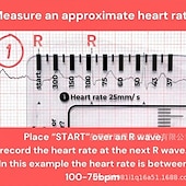 cheap Event &amp; Party Supplies-ECG 7 Step Ruler, ECG Ruler Plastic Ruler Measuring Tool, ECG 7 Step Ruler for ECG/EKG Interpretation, Transparent EKG Calipers Measuring Tool, Follow a 7 Step Plan