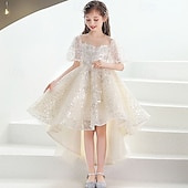 cheap Flower Girl's Dresses-Flower Girl Dress Kid's Girls' Princess Dress Performance Wedding Party Elegant Beautiful Sequins Mesh Solid Color Short Sleeve Crew Neck Champagne 4 years+