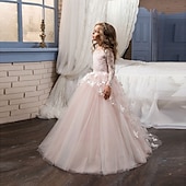 preiswerte Kleider für die Blumenmädchen-kinderkleidung Mädchen Kleid für die Erstkommunion Party Kleid Feste Farbe Ärmellos Langarm Leistung Hochzeit Party Gitter Prinzessin Süß Gitter Mitte der Wade Etuikleid Tüll-Kleid Sommer Frühling
