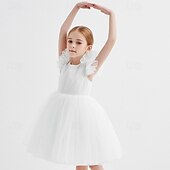billige Blomsterkjoler-Blomsterpikekjole Barn Jente Prinsesse kjole Ytelse Bryllup Fest Elegant Vakker Netting Helfarge Kortermet Crew-hals Svart Hvit 4 år +
