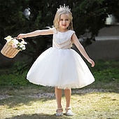 abordables Robes à Fleurs pour Filles-Robe de Demoiselle d&#039;Honneur Fille enfants Fille Robe de princesse Utilisation Mariage Soirée Elégant Magnifique Maille Couleur unie Sans Manches Col Ras du Cou Blanche Champagne 4 ans et +