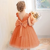 voordelige Bloemenjurken-Bloemenmeisjesjurk kinderen Voor meisjes Prinses jurk Prestatie Bruiloft Feest Elegant Mooi Netstof Effen Kleur Mouwloos Strakke ronde hals Lichtgeel Licht Roze 4 jaar +