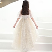 cheap Flower Girl's Dresses-Flower Girl Dress Kid's Girls' Princess Dress Performance Wedding Party Elegant Beautiful Sequins Mesh Solid Color Short Sleeve Crew Neck Champagne 4 years+