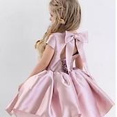 preiswerte Kleider für die Blumenmädchen-kinderkleidung Mädchen Blumenmädchen Kleid Kleid für die Erstkommunion Party Kleid Feste Farbe Ärmellos Leistung Hochzeit Party Gitter Prinzessin Süß Gitter Mitte der Wade Etuikleid Tüll-Kleid Sommer