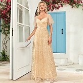 levne růžová-A-line večerní róba elegantní šaty na večírek plesové podlahové délky bez rukávů výstřih do V podzimní svatební host s tylovým žebříčkovým výstřihem s výšivkou