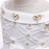 billige Blomsterkjoler-Blomsterpikekjole Barn Jente Prinsesse kjole Ytelse Bryllup Fest Elegant Vakker Netting Helfarge Ermeløs Løse skuldre Hvit Champagne 4 år +