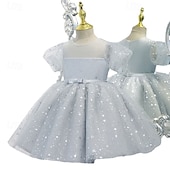 levne Párty šaty-Batole Dívčí Šaty na párty Flitry Bez rukávů Výkon Síťka Roztomilý Princeznovské Polyester Nad kolena Plášťové šaty Tylové šaty Léto Jaro Podzim 3-7 let Stříbrná Dusty modrá