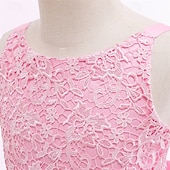 baratos Vestidos floridos-Vestido para Meninas das Flores Crianças Para Meninas Vestido de princesa Espetáculo Casamento Festa Elegante Lindo Com Transparência Côr Sólida Sem Manga Gola Redonda Branco Rosa 4 anos +