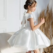 preiswerte Kleider für die Blumenmädchen-kinderkleidung Mädchen Blumenmädchen Kleid Kleid für die Erstkommunion Party Kleid Feste Farbe Ärmellos Leistung Hochzeit Party Gitter Prinzessin Süß Gitter Mitte der Wade Etuikleid Tüll-Kleid Sommer