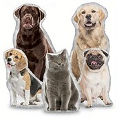 baratos Presentes Personalizados-Almofada Memorial de Presente Personalizada de Animal de Estimação Macia Aconchegante Impressão Duplex Lavável à Mão Design Contemporâneo Fechamento com Zíper Enchimento de Algodão Almofada