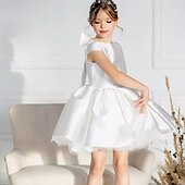 preiswerte Kleider für die Blumenmädchen-kinderkleidung Mädchen Blumenmädchen Kleid Kleid für die Erstkommunion Party Kleid Feste Farbe Ärmellos Leistung Hochzeit Party Gitter Prinzessin Süß Gitter Mitte der Wade Etuikleid Tüll-Kleid Sommer