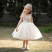 abordables Robes à Fleurs pour Filles-Robe de Demoiselle d&#039;Honneur Fille enfants Fille Robe de princesse Utilisation Mariage Soirée Elégant Magnifique Maille Couleur unie Sans Manches Col Ras du Cou Blanche Champagne 4 ans et +