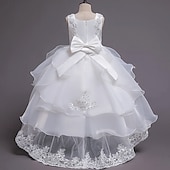 billige Blomsterkjoler-Blomsterpikekjole Barn Jente Prinsesse kjole Ytelse Bryllup Fest Elegant Vakker Netting Helfarge Ermeløs Crew-hals Vinrød Hvit 4 år +