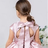preiswerte Kleider für die Blumenmädchen-kinderkleidung Mädchen Blumenmädchen Kleid Kleid für die Erstkommunion Party Kleid Feste Farbe Ärmellos Leistung Hochzeit Party Gitter Prinzessin Süß Gitter Mitte der Wade Etuikleid Tüll-Kleid Sommer
