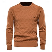 billiga Herrarnas Elite Tröjor &amp; Koftor-Herr Pullover tröja Sticka Ensfärgat Rund hals Stickat Elegant Jul Utomhus Kläder Raglanärm Vår Höst Svart Rubinrött S M L