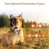 cheap Dog Training &amp; Behavior-Dog Wireless Fence Portable Lightweight Durable Plastic Black 1 PC