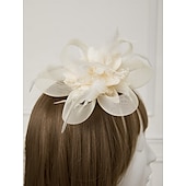 economico Fascinator-Fascinatori  Cappelli  Fasce per capelli in tulle  piume  rete con 1 pezzo Matrimonio  Occasione speciale  Copricapo per tea party per un&#039;ottima impressione Fascinatori del Derby Giornata di corsa
