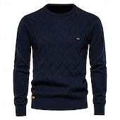 billiga Herrarnas Elite Tröjor &amp; Koftor-Herr Pullover tröja Sticka Ensfärgat Rund hals Stickat Elegant Jul Utomhus Kläder Raglanärm Vår Höst Svart Rubinrött S M L
