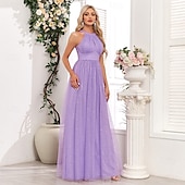 levne Šaty pro svatební hosty-A-line šaty pro svatební hosty elegantní šaty svatební hosti na večírky maximální délky bez rukávů halterneck podzimní svatební host tulle s mašlí