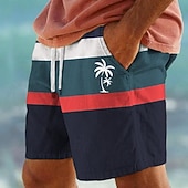 Χαμηλού Κόστους Μαγιό και σορτς για σέρφινγκ-Ανδρικά Σορτσάκια Κολύμβησης Μαγιό Βερμούδα Ριγέ Κορδόνι Με τσέπες Γρήγορο Στέγνωμα Με τσέπες Σορτς παραλίας Μαγιό Σέρφινγκ Παραλία Θαλάσσια Σπορ Καλοκαίρι