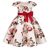 abordables Robes de fête-Enfants Fille Robe de fête Fleur Manche Courte Utilisation Anniversaire Noeud de cravate Magnifique Doux Coton Maxi robe soirée Robe Évasée Robe Trapèze Eté 4 ans et + Jaune Rose Claire Rouge