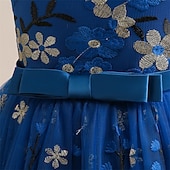 levne Párty šaty-Děti Dívčí Šaty na párty Květinový Bez rukávů Výkon Narozeniny Síťka Kravatový uzel Krásná Sladký Polyester Maxi Šaty na párty Swingové šaty Áčkové šaty Léto 4 roky + Šampaňská Vodní modrá Trávov