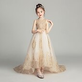 levne Dívčí květinové šaty-Šaty pro květinovou družičku děti Dívčí Princeznovské šaty Výkon Svatební Párty Elegantní Krásná Krajka Síťka Pevná barva Bez rukávů Pod rameny Šampaňská 4 roky +