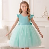 voordelige Bloemenjurken-Bloemenmeisjesjurk kinderen Voor meisjes Prinses jurk Prestatie Bruiloft Feest Elegant Mooi Netstof Effen Kleur Mouwloos Strakke ronde hals Lichtgeel Licht Roze 4 jaar +