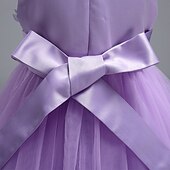 economico Abiti da damigella-Abito da damigella d&#039;onore bambina bambini Da ragazza Abito da principessa Prestazioni Matrimonio Feste Elegante Bellissimo Retato Tinta unica Senza maniche Girocollo Grigio Rosso bordeaux 4 anni +