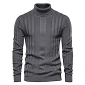 billige Herre Elite Genser og Cardigans-Herre Genser Pullover genser Strikketøy Riflet Strikke Vanlige topper Fargeblokk Rullekrage Strikketøy Nøytral utendørs Klær Vår &amp; Vinter Svart Gul S M L
