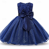 abordables Robes à Fleurs pour Filles-Robe de Demoiselle d&#039;Honneur Fille enfants Fille Robe de princesse Utilisation Mariage Soirée Elégant Magnifique Maille Couleur unie Sans Manches Col Ras du Cou Blanche Rose Claire 4 ans et +