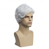 preiswerte Herrenperücken-Männerperücken, kurze Perücke, synthetische, hitzebeständige, natürliche Halloween-Cosplay-Perücke