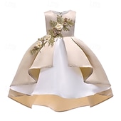 preiswerte Partykleider-kinderkleidung Mädchen Party Kleid Blume Ärmellos Leistung Geburtstag Schön Süß Polyester Asymmetrisch abendkleider Schaukelkleid A Linie Kleid Sommer 4 Jahre + Champagner Rosa Wein