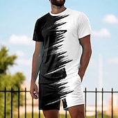 cheap Men's Printed Tees sets-Men's Geometric 2pcs Tees sets Matching Sets Short Sleeve Short Pant Crew Neck Sport Casual Outdoor Vacation Daily Drawstring Crewneck Print Summer Black-White